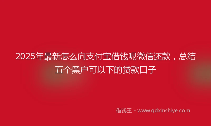 2025年最新怎么向支付宝借钱呢微信还款，总结五个黑户可以下的贷款口子