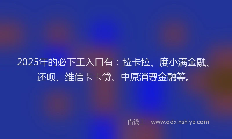2025年的必下王入口有：拉卡拉、度小满金融、还呗、维信卡卡贷、中原消费金融等。