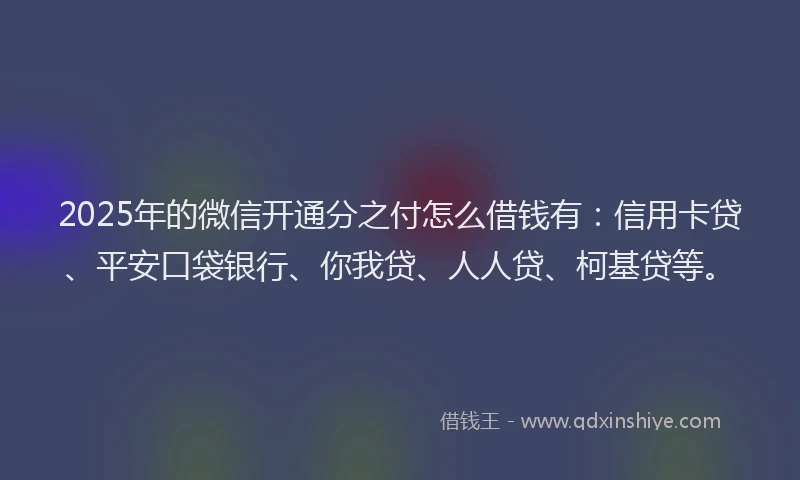 2025年的微信开通分之付怎么借钱有：信用卡贷、平安口袋银行、你我贷、人人贷、柯基贷等。