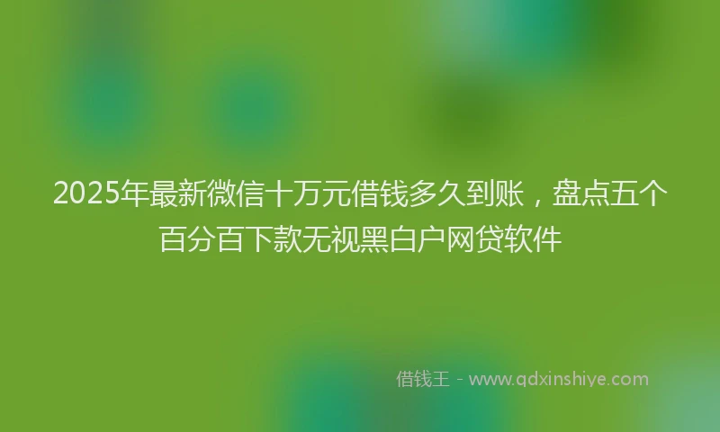 2025年最新微信十万元借钱多久到账，盘点五个百分百下款无视黑白户网贷软件
