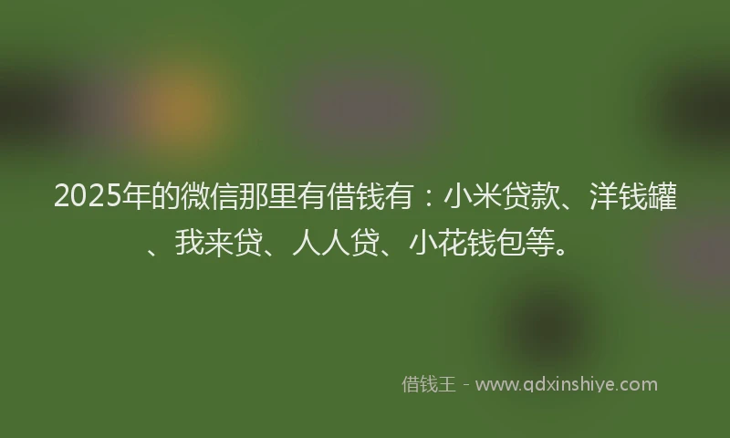 2025年的微信那里有借钱有：小米贷款、洋钱罐、我来贷、人人贷、小花钱包等。