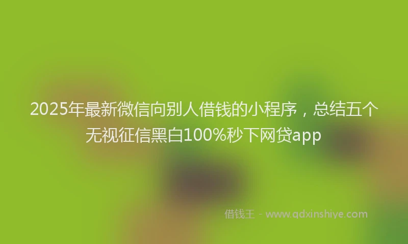 2025年最新微信向别人借钱的小程序，总结五个无视征信黑白100%秒下网贷app
