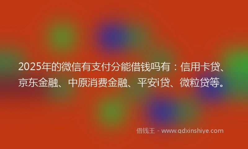 2025年的微信有支付分能借钱吗有：信用卡贷、京东金融、中原消费金融、平安i贷、微粒贷等。