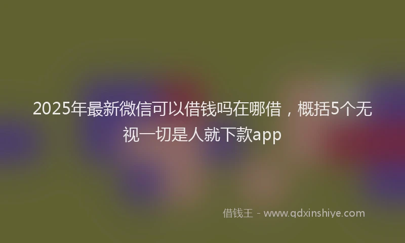 2025年最新微信可以借钱吗在哪借，概括5个无视一切是人就下款app