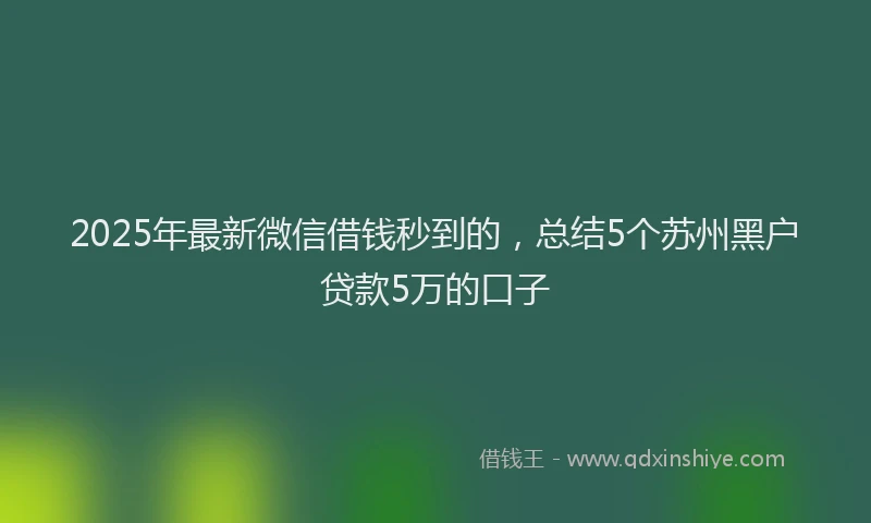 2025年最新微信借钱秒到的，总结5个苏州黑户贷款5万的口子