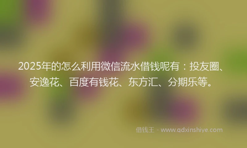 2025年的怎么利用微信流水借钱呢有：投友圈、安逸花、百度有钱花、东方汇、分期乐等。