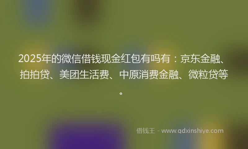 2025年的微信借钱现金红包有吗有：京东金融、拍拍贷、美团生活费、中原消费金融、微粒贷等。