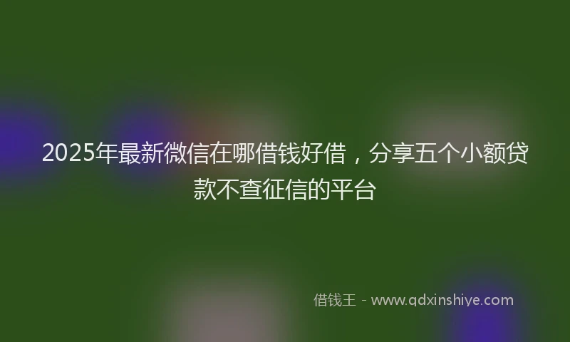2025年最新微信在哪借钱好借，分享五个小额贷款不查征信的平台