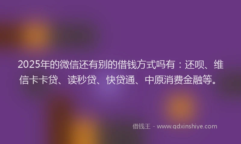 2025年的微信还有别的借钱方式吗有：还呗、维信卡卡贷、读秒贷、快贷通、中原消费金融等。