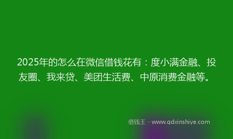 2025年的怎么在微信借钱花有：度小满金融、投友圈、我来贷、美团生活费、中原消费金融等。