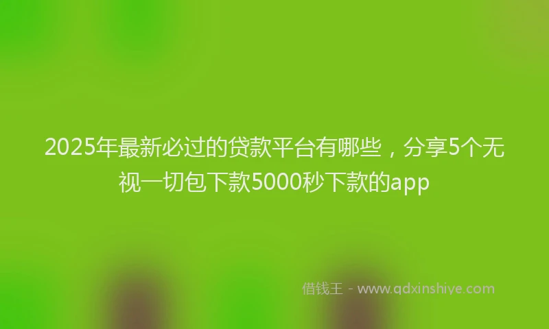 2025年最新必过的贷款平台有哪些，分享5个无视一切包下款5000秒下款的app