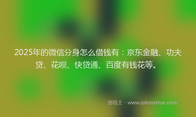 2025年的微信分身怎么借钱有：京东金融、功夫贷、花呗、快贷通、百度有钱花等。
