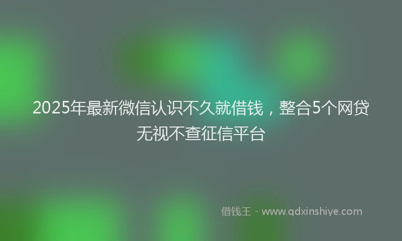2025年最新微信认识不久就借钱，整合5个网贷无视不查征信平台