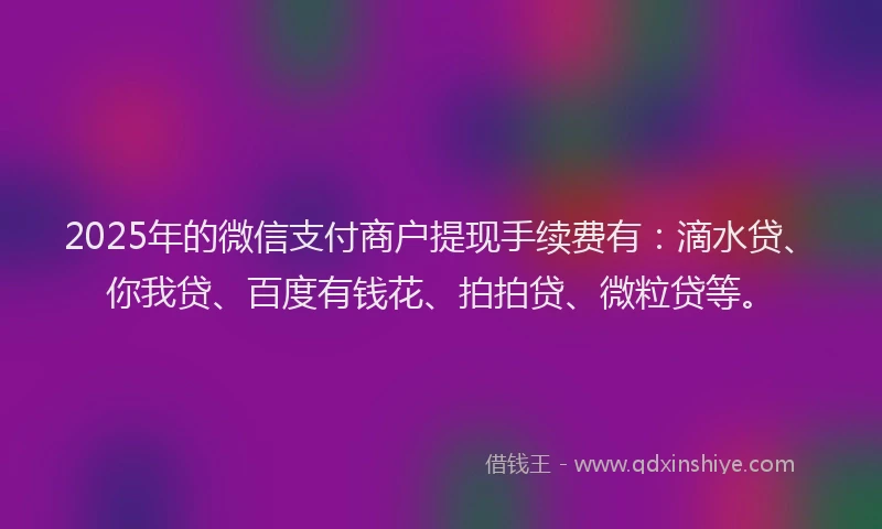 2025年的微信支付商户提现手续费有：滴水贷、你我贷、百度有钱花、拍拍贷、微粒贷等。