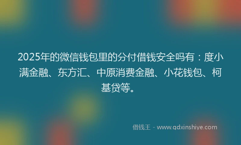 2025年的微信钱包里的分付借钱安全吗有：度小满金融、东方汇、中原消费金融、小花钱包、柯基贷等。