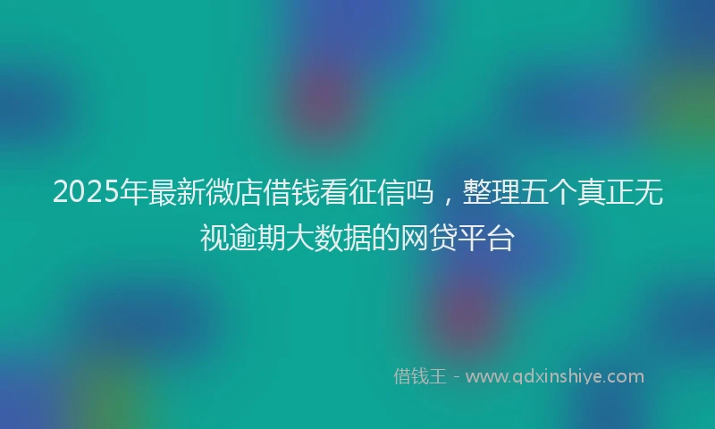 2025年最新微店借钱看征信吗，整理五个真正无视逾期大数据的网贷平台