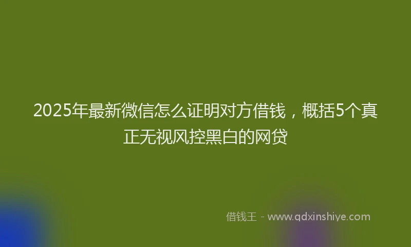 2025年最新微信怎么证明对方借钱，概括5个真正无视风控黑白的网贷