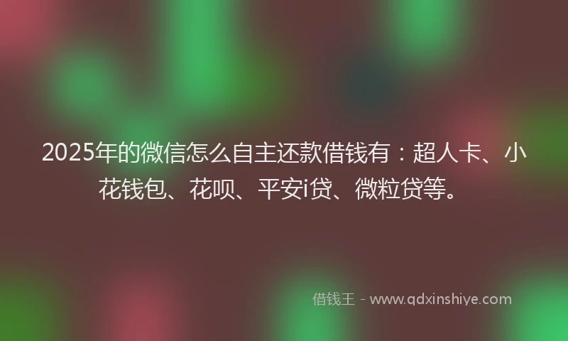 2025年的微信怎么自主还款借钱有：超人卡、小花钱包、花呗、平安i贷、微粒贷等。