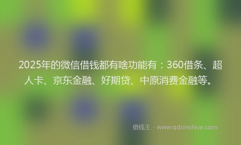 2025年的微信借钱都有啥功能有：360借条、超人卡、京东金融、好期贷、中原消费金融等。