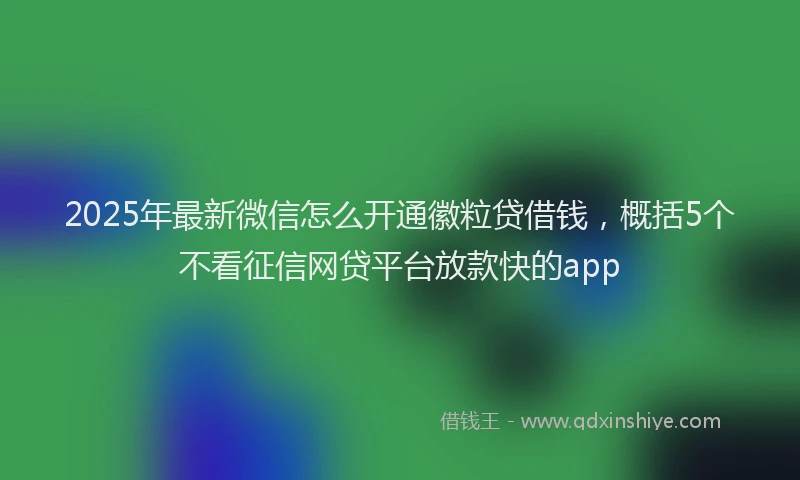2025年最新微信怎么开通徽粒贷借钱，概括5个不看征信网贷平台放款快的app