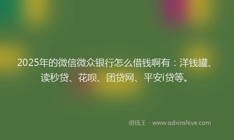 2025年的微信微众银行怎么借钱啊有：洋钱罐、读秒贷、花呗、团贷网、平安i贷等。