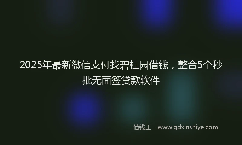 2025年最新微信支付找碧桂园借钱，整合5个秒批无面签贷款软件