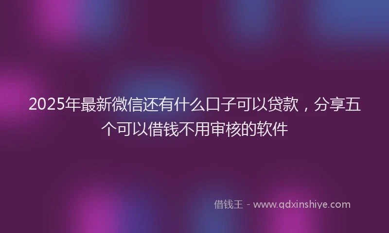 2025年最新微信还有什么口子可以贷款，分享五个可以借钱不用审核的软件