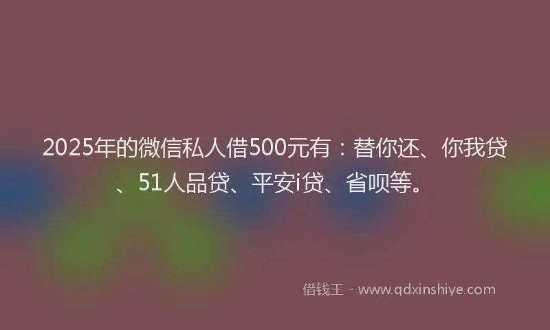 2025年的微信私人借500元有：替你还、你我贷、51人品贷、平安i贷、省呗等。