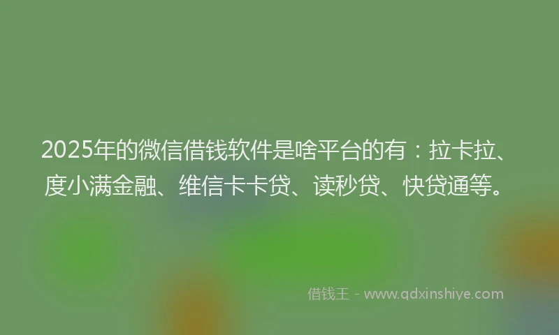 2025年的微信借钱软件是啥平台的有：拉卡拉、度小满金融、维信卡卡贷、读秒贷、快贷通等。