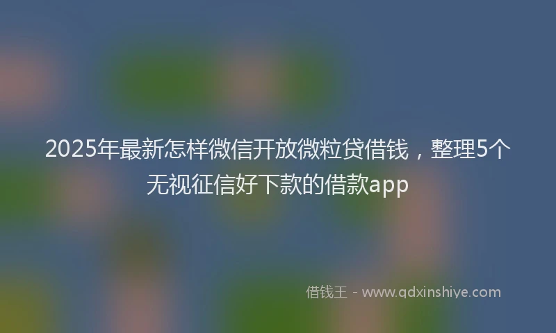2025年最新怎样微信开放微粒贷借钱，整理5个无视征信好下款的借款app