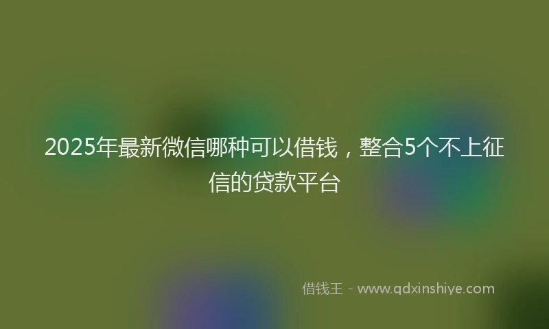 2025年最新微信哪种可以借钱，整合5个不上征信的贷款平台