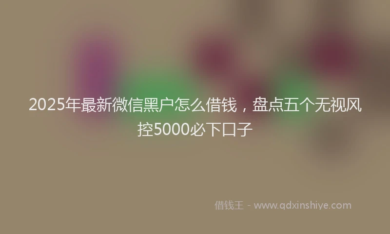 2025年最新微信黑户怎么借钱，盘点五个无视风控5000必下口子