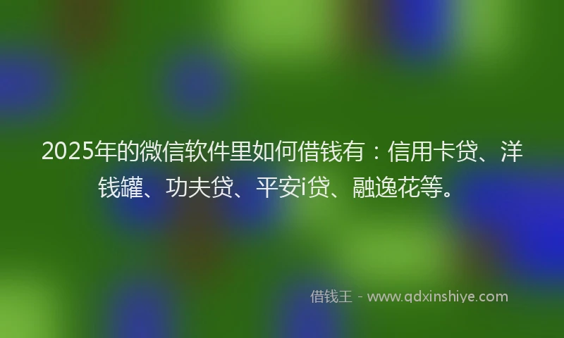 2025年的微信软件里如何借钱有：信用卡贷、洋钱罐、功夫贷、平安i贷、融逸花等。