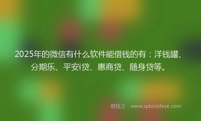 2025年的微信有什么软件能借钱的有：洋钱罐、分期乐、平安i贷、惠商贷、随身贷等。