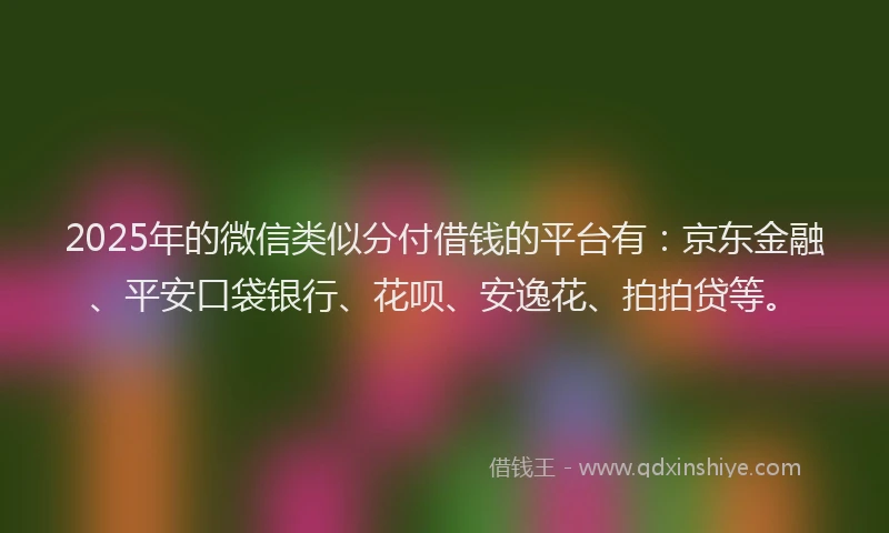2025年的微信类似分付借钱的平台有：京东金融、平安口袋银行、花呗、安逸花、拍拍贷等。