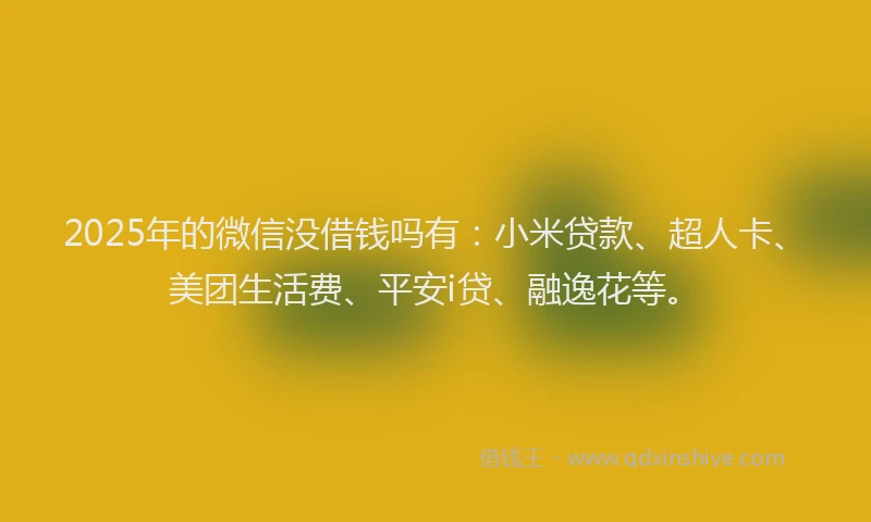 2025年的微信没借钱吗有：小米贷款、超人卡、美团生活费、平安i贷、融逸花等。