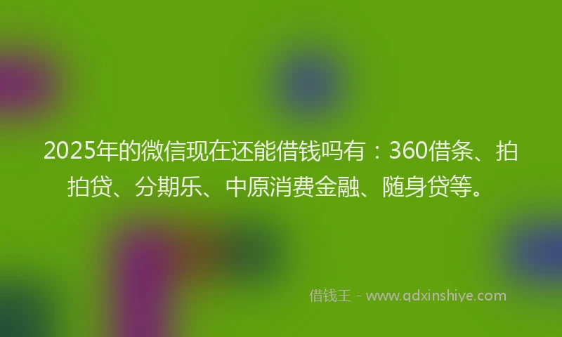 2025年的微信现在还能借钱吗有：360借条、拍拍贷、分期乐、中原消费金融、随身贷等。