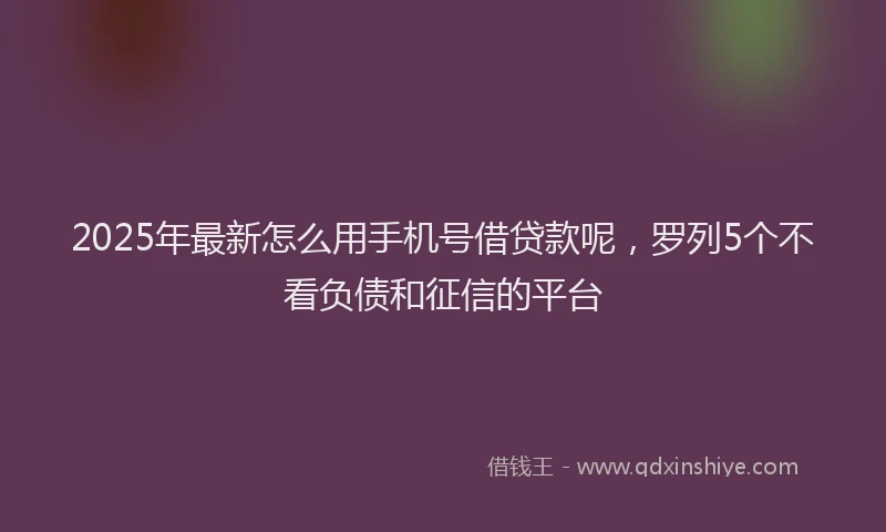 2025年最新怎么用手机号借贷款呢，罗列5个不看负债和征信的平台