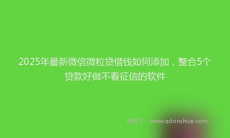 2025年最新微信微粒贷借钱如何添加，整合5个贷款好做不看征信的软件