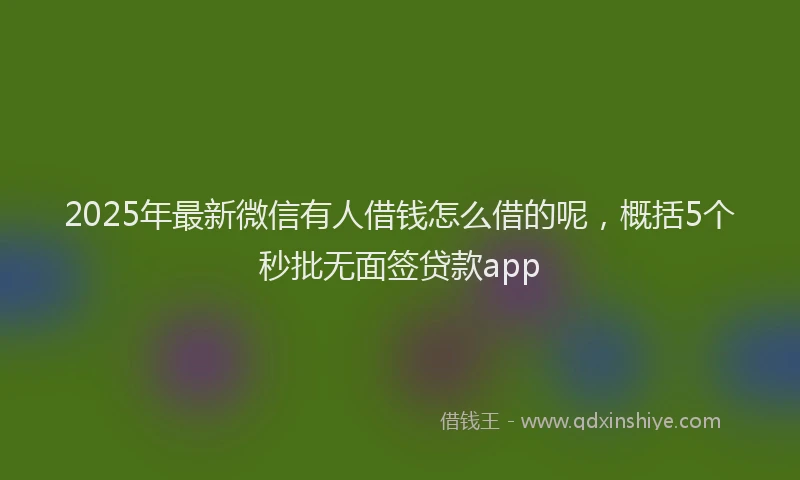 2025年最新微信有人借钱怎么借的呢，概括5个秒批无面签贷款app