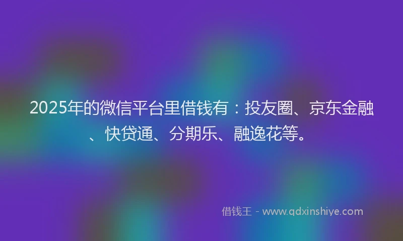 2025年的微信平台里借钱有：投友圈、京东金融、快贷通、分期乐、融逸花等。