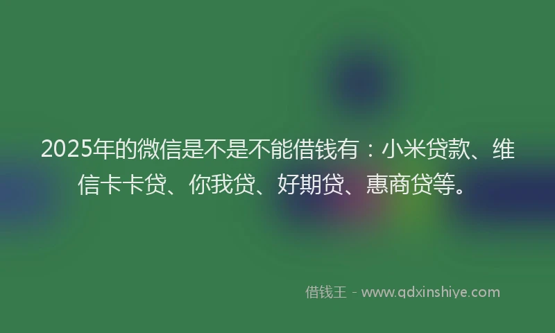 2025年的微信是不是不能借钱有：小米贷款、维信卡卡贷、你我贷、好期贷、惠商贷等。