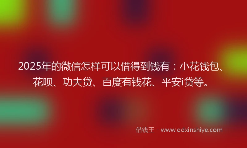 2025年的微信怎样可以借得到钱有：小花钱包、花呗、功夫贷、百度有钱花、平安i贷等。