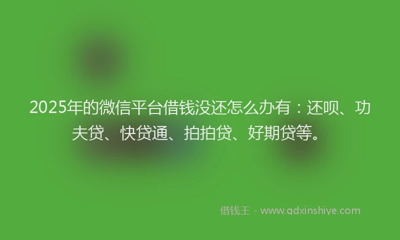 2025年的微信平台借钱没还怎么办有：还呗、功夫贷、快贷通、拍拍贷、好期贷等。