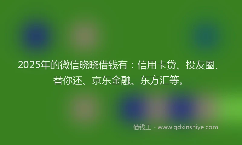 2025年的微信晓晓借钱有：信用卡贷、投友圈、替你还、京东金融、东方汇等。