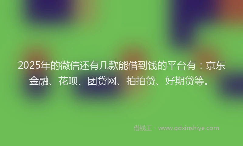 2025年的微信还有几款能借到钱的平台有：京东金融、花呗、团贷网、拍拍贷、好期贷等。