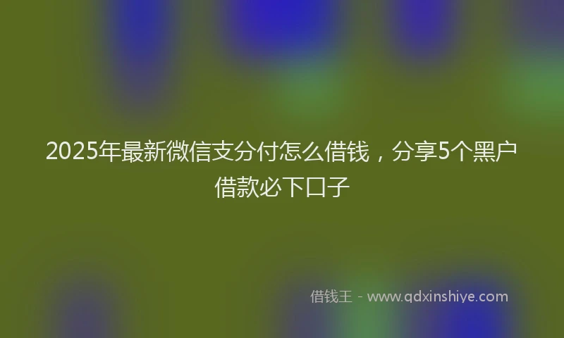 2025年最新微信支分付怎么借钱，分享5个黑户借款必下口子