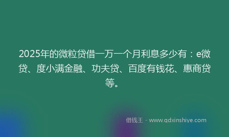 2025年的微粒贷借一万一个月利息多少有：e微贷、度小满金融、功夫贷、百度有钱花、惠商贷等。