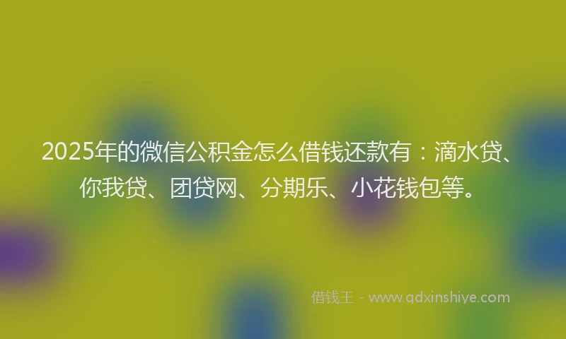 2025年的微信公积金怎么借钱还款有：滴水贷、你我贷、团贷网、分期乐、小花钱包等。