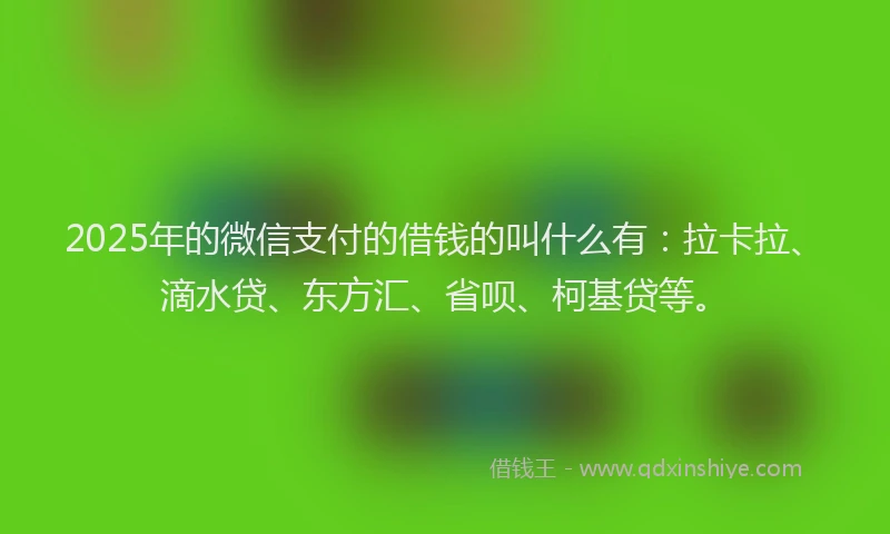 2025年的微信支付的借钱的叫什么有：拉卡拉、滴水贷、东方汇、省呗、柯基贷等。